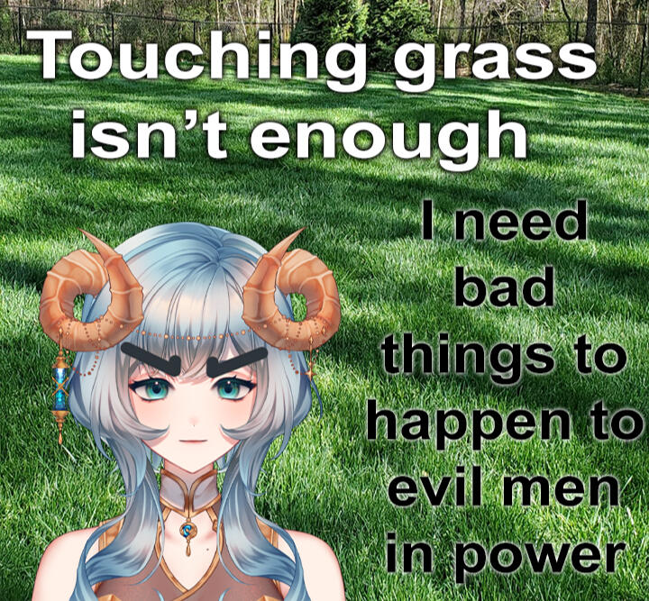 touch grass touch grass