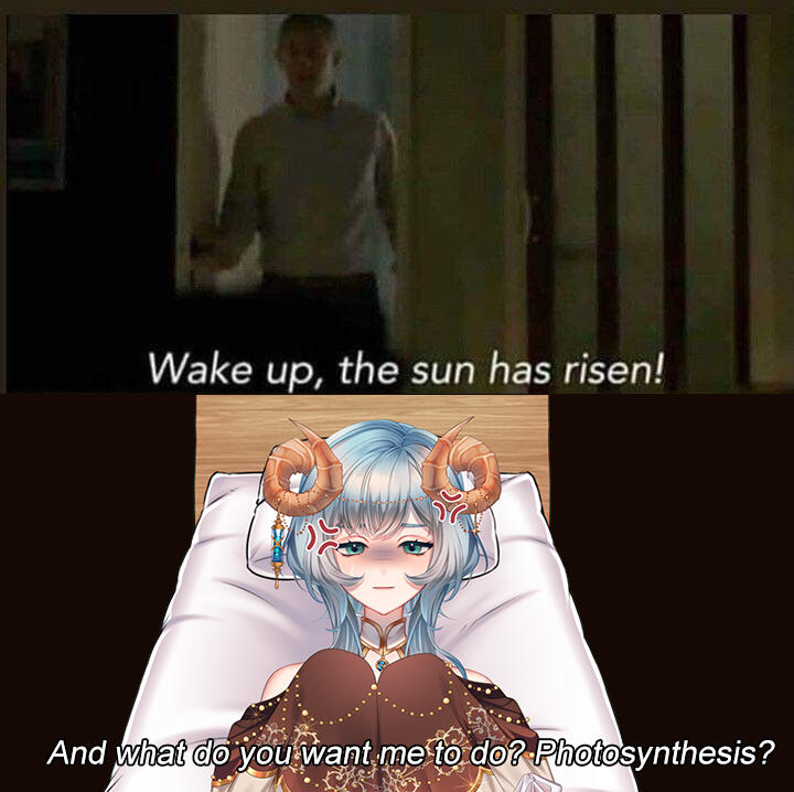 the sun risen